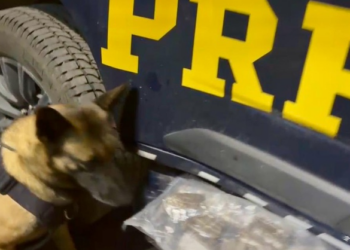 Mulher é presa transportando mais de quatro quilos de haxixe em Piraí