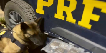 Mulher é presa transportando mais de quatro quilos de haxixe em Piraí