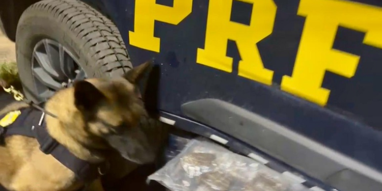 Mulher é presa transportando mais de quatro quilos de haxixe em Piraí