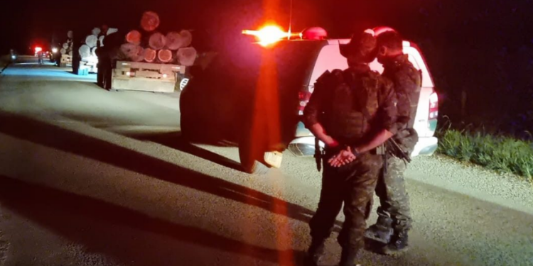 Operação Hileia flagra extração ilegal de madeira, apreende caminhões e frustra tentativa de tumulto em Candeias do Jamari