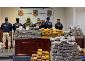 Forças de segurança apreendem cerca de 460 quilos de drogas em São Francisco do Guaporé (RO)