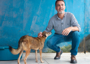 Castração gratuita chega a São Carlos e Nazaré