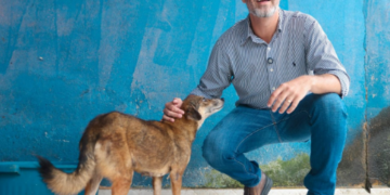 Castração gratuita chega a São Carlos e Nazaré