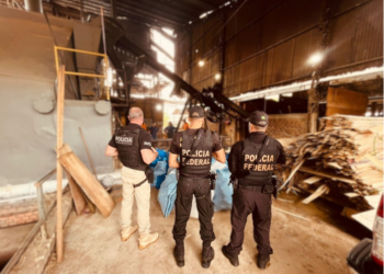 PF Incinera mais de 710kg de drogas em Ji-Paraná/RO.