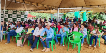DIA DE CAMPO  Tecnologia, manejo eficiente e assistência técnica elevam o padrão da cafeicultura em Rondônia