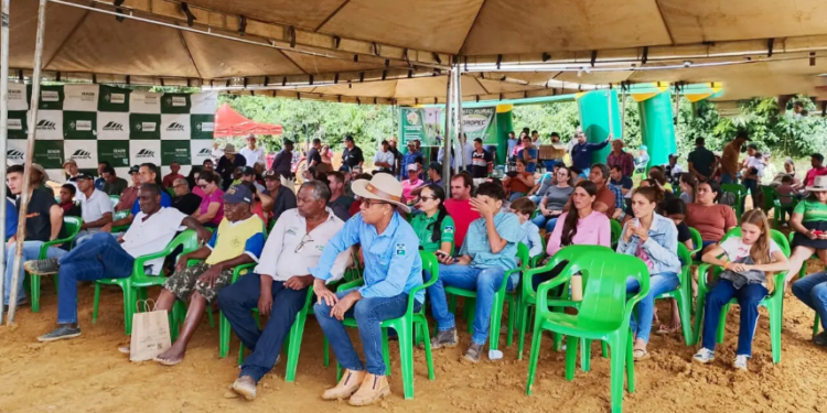 DIA DE CAMPO  Tecnologia, manejo eficiente e assistência técnica elevam o padrão da cafeicultura em Rondônia