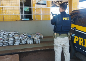 PRF apreende cerca de 60 kg de skunk e prende jovem por tráfico na BR-060, em Rio Verde