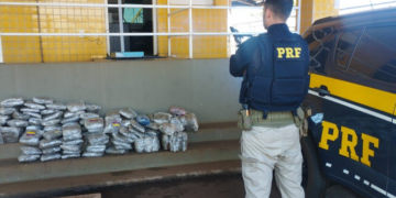 PRF apreende cerca de 60 kg de skunk e prende jovem por tráfico na BR-060, em Rio Verde