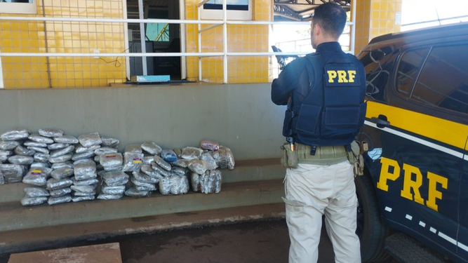 PRF apreende cerca de 60 kg de skunk e prende jovem por tráfico na BR-060, em Rio Verde