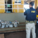 PRF apreende cerca de 60 kg de skunk e prende jovem por tráfico na BR-060, em Rio Verde
