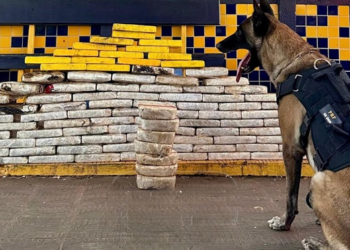PRF apreende mais de 130 kg de drogas e detecta documento falso nas BRs 364 e 070, em Mato Grosso