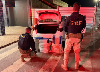 PRF apreende mais de 130 kg de maconha na BR-262, em Bom Despacho (MG)