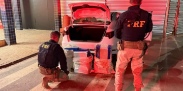 PRF apreende mais de 130 kg de maconha na BR-262, em Bom Despacho (MG)