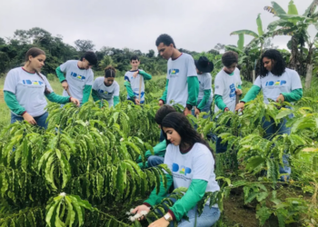 Formação técnica fortalece agricultura familiar e prepara jovens para atuar nas propriedades rurais em Rondônia