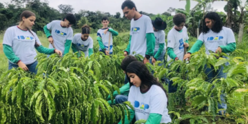 Formação técnica fortalece agricultura familiar e prepara jovens para atuar nas propriedades rurais em Rondônia