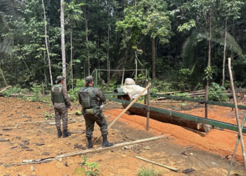 Batalhão de Polícia Ambiental flagra extração ilegal de madeira e apreende serraria clandestina em Candeias do Jamari