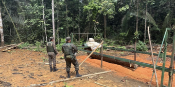 Batalhão de Polícia Ambiental flagra extração ilegal de madeira e apreende serraria clandestina em Candeias do Jamari