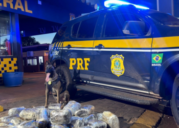 PRF apreende 38 kg de droga na BR-364, em Rondonópolis (MT)