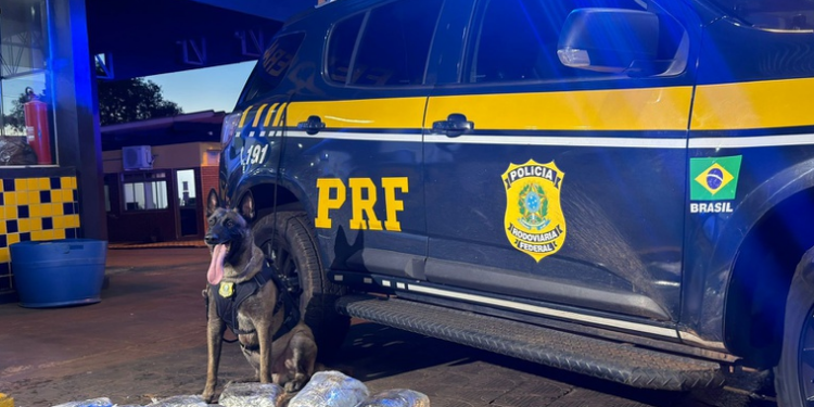 PRF apreende 38 kg de droga na BR-364, em Rondonópolis (MT)