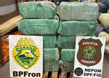 PF e PM/PR localizam mais de 161 kg de entorpecente