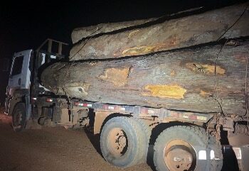 POLÍCIA MILITAR APREENDE MADEIRA ILEGAL E CAMINHÕES DURANTE  OPERAÇÃO EM PORTO VELHO