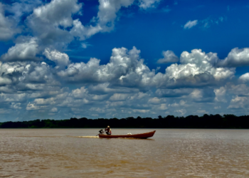 Projeto de ciência cidadã com jovens ribeirinhos inicia novo ciclo de  atividades no rio Madeira