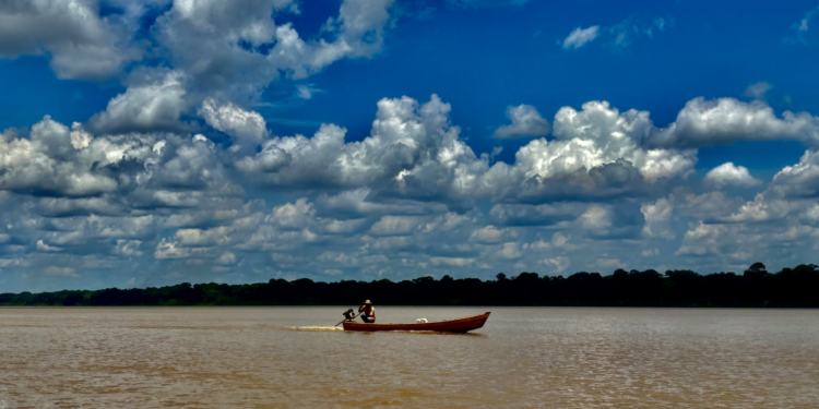 Projeto de ciência cidadã com jovens ribeirinhos inicia novo ciclo de  atividades no rio Madeira