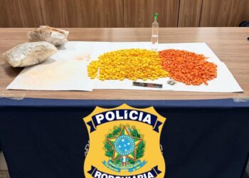 PRF apreende droga em bagagem de passageira na BR-364