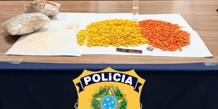 PRF apreende droga em bagagem de passageira na BR-364