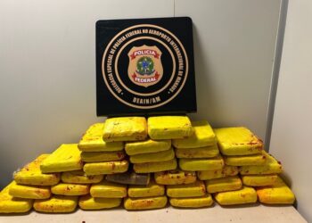 PF apreende 37 kg de skunk no Aeroporto de Manaus/AM