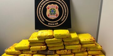 PF apreende 37 kg de skunk no Aeroporto de Manaus/AM