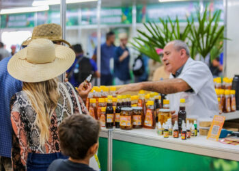 OPORTUNIDADES EM ALTA: Rondônia inicia a semana com mais de 2.200 vagas de emprego