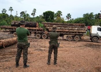 BATALHÃO DE POLÍCIA AMBIENTAL FLAGRA IRREGULARIDADES E APREENDE MADEIRA EM EMPREENDIMENTO MADEIREIRO EM CANDEIAS DO JAMARI