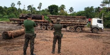 BATALHÃO DE POLÍCIA AMBIENTAL FLAGRA IRREGULARIDADES E APREENDE MADEIRA EM EMPREENDIMENTO MADEIREIRO EM CANDEIAS DO JAMARI
