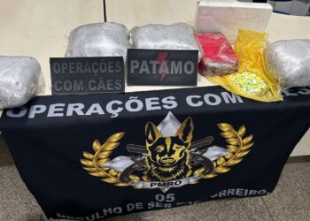 AÇÃO INTEGRADA DAS FORÇAS DE SEGURANÇA RESULTA NA APREENSÃO DE 7 KG DE DROGAS EM TERMINAL RODOVIÁRIO