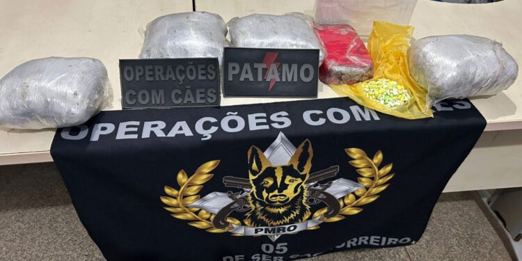 AÇÃO INTEGRADA DAS FORÇAS DE SEGURANÇA RESULTA NA APREENSÃO DE 7 KG DE DROGAS EM TERMINAL RODOVIÁRIO