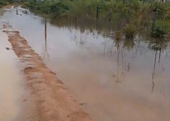 Alex Redano solicita recuperação da Linha B-106, em Cujubim