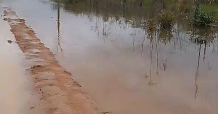 Alex Redano solicita recuperação da Linha B-106, em Cujubim