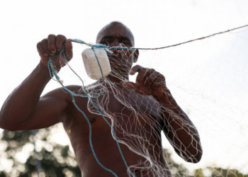 Deputados podem votar alterações em medida provisória que muda regras do seguro-defeso