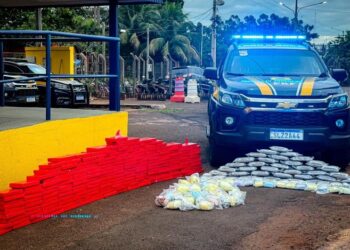 PRF apreende 271 Kg de drogas em Dourados (MS)
