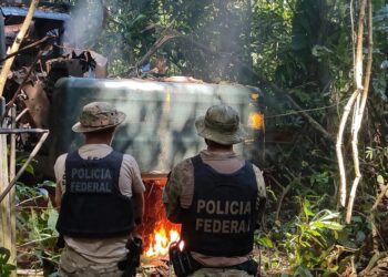 PF atua contra garimpo ilegal e crimes ambientais em Rondônia