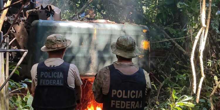 PF atua contra garimpo ilegal e crimes ambientais em Rondônia