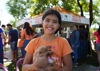 Feira de adoção garante novos lares para cães e gatos em Porto Velho
