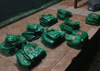 COMBATE AO TRÁFICO NA FRONTEIRA: PMRO E 6º BIS APREENDEM FOLHAS DE COCA NO RIO MAMORÉ