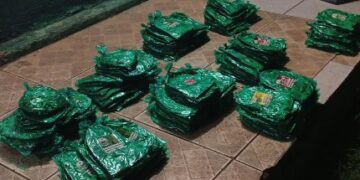 COMBATE AO TRÁFICO NA FRONTEIRA: PMRO E 6º BIS APREENDEM FOLHAS DE COCA NO RIO MAMORÉ