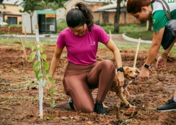 Dia Internacional da Mãe Terra: Nova Acrópole promove palestra gratuita sobre harmonia da natureza em Porto Velho, neste sábado, 18