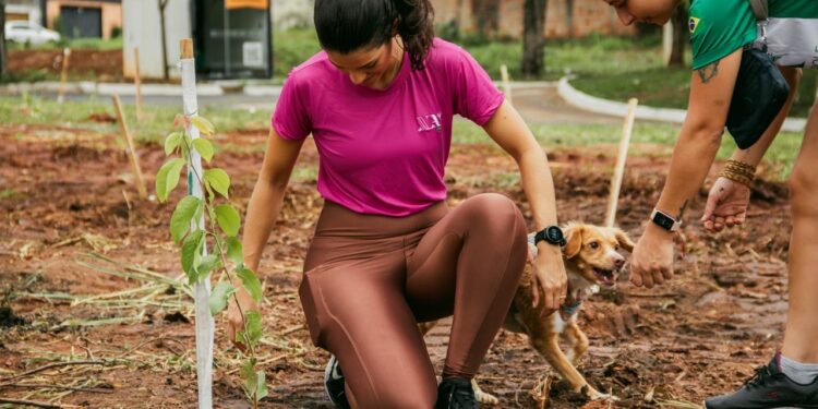 Dia Internacional da Mãe Terra: Nova Acrópole promove palestra gratuita sobre harmonia da natureza em Porto Velho, neste sábado, 18