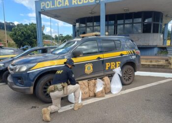 PRF prende homem e apreende cocaína avaliada em mais de R$ 12 milhões na BR-381, em Igarapé (MG)
