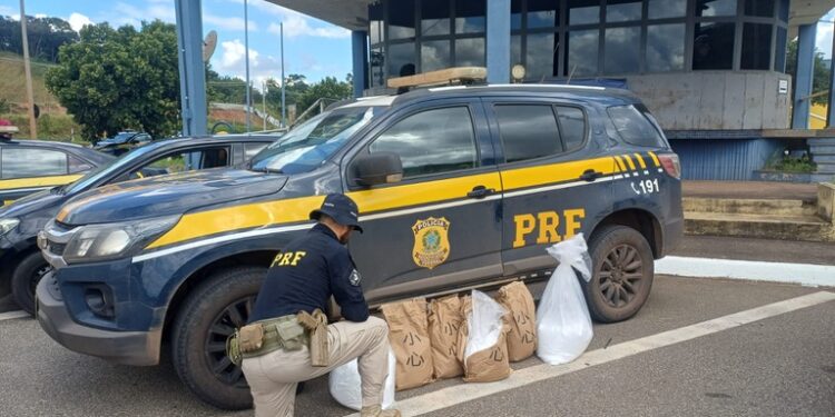 PRF prende homem e apreende cocaína avaliada em mais de R$ 12 milhões na BR-381, em Igarapé (MG)