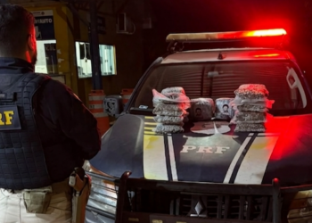 PRF apreende mais de 10 kg de Skunk na BR-425